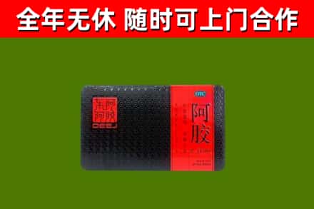 临朐回收阿胶